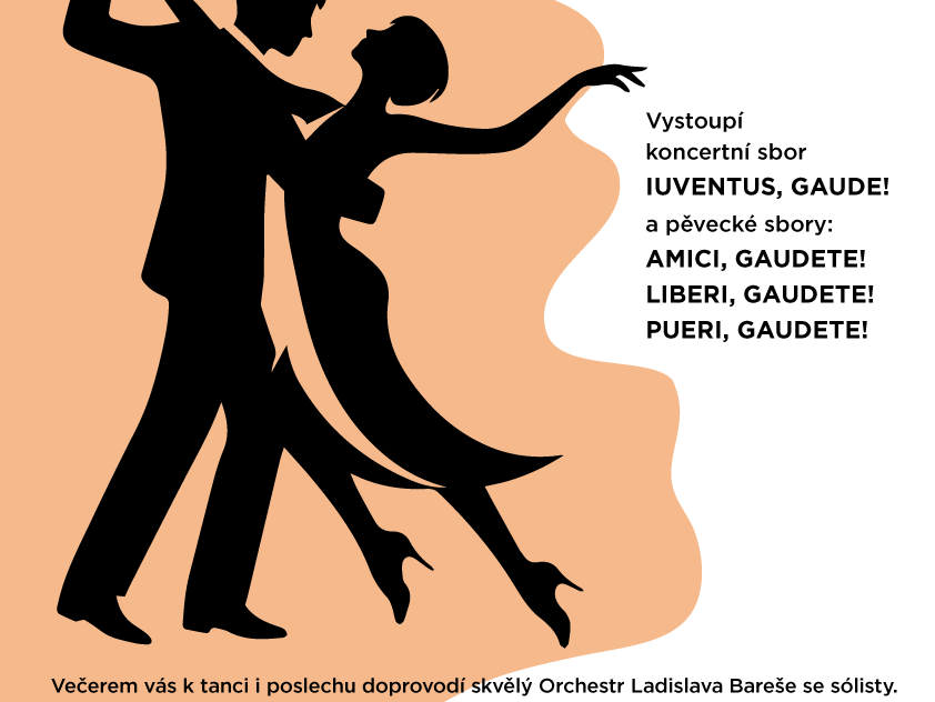 Der Ball, der eine Stimme hat