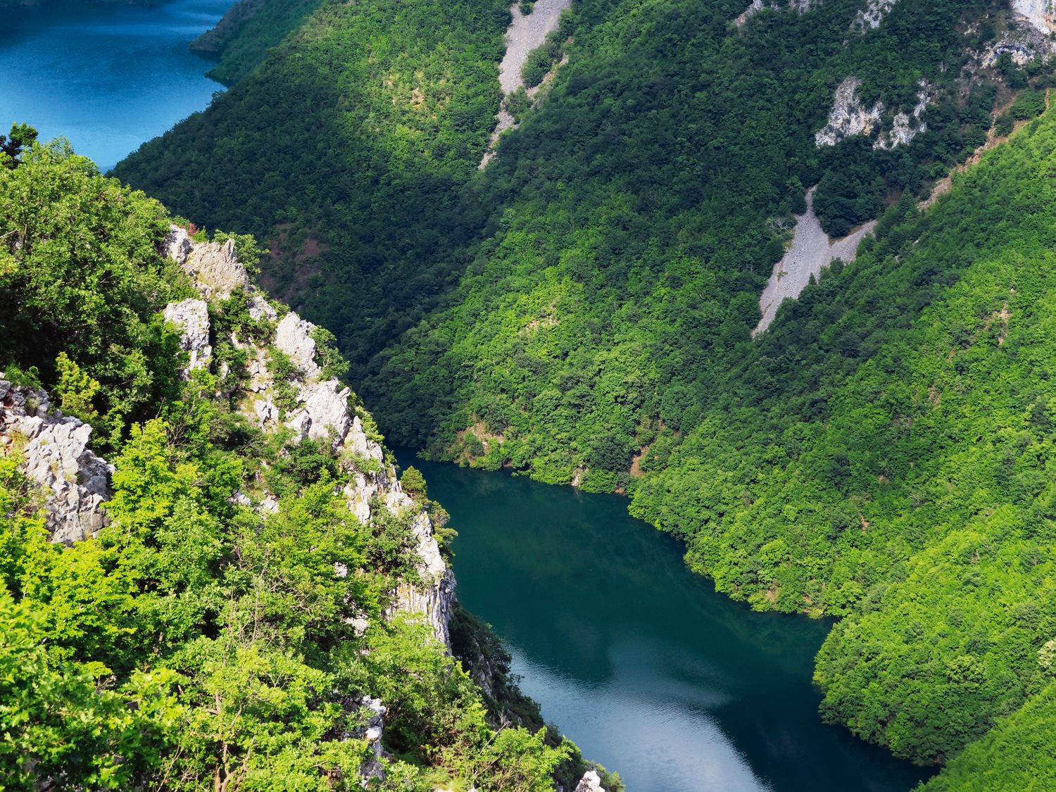 SUROWA, PIĘKNA ALBANIA