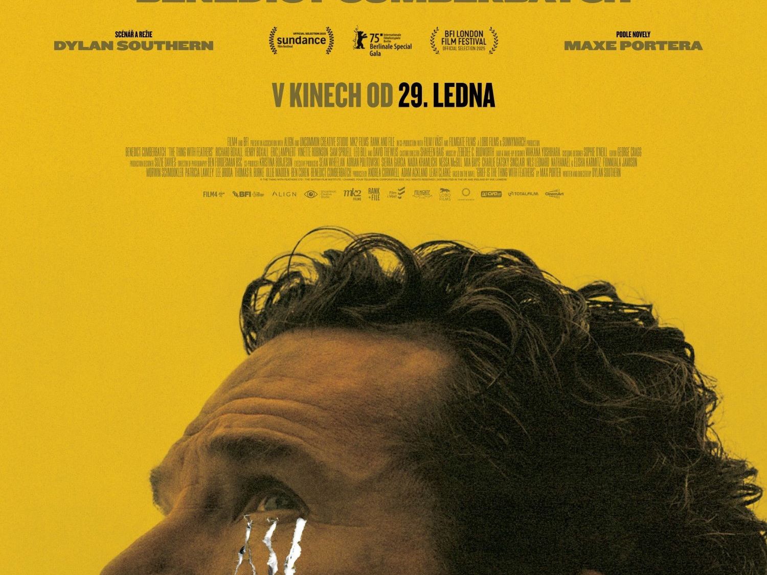 Křídla smutku 2D/T