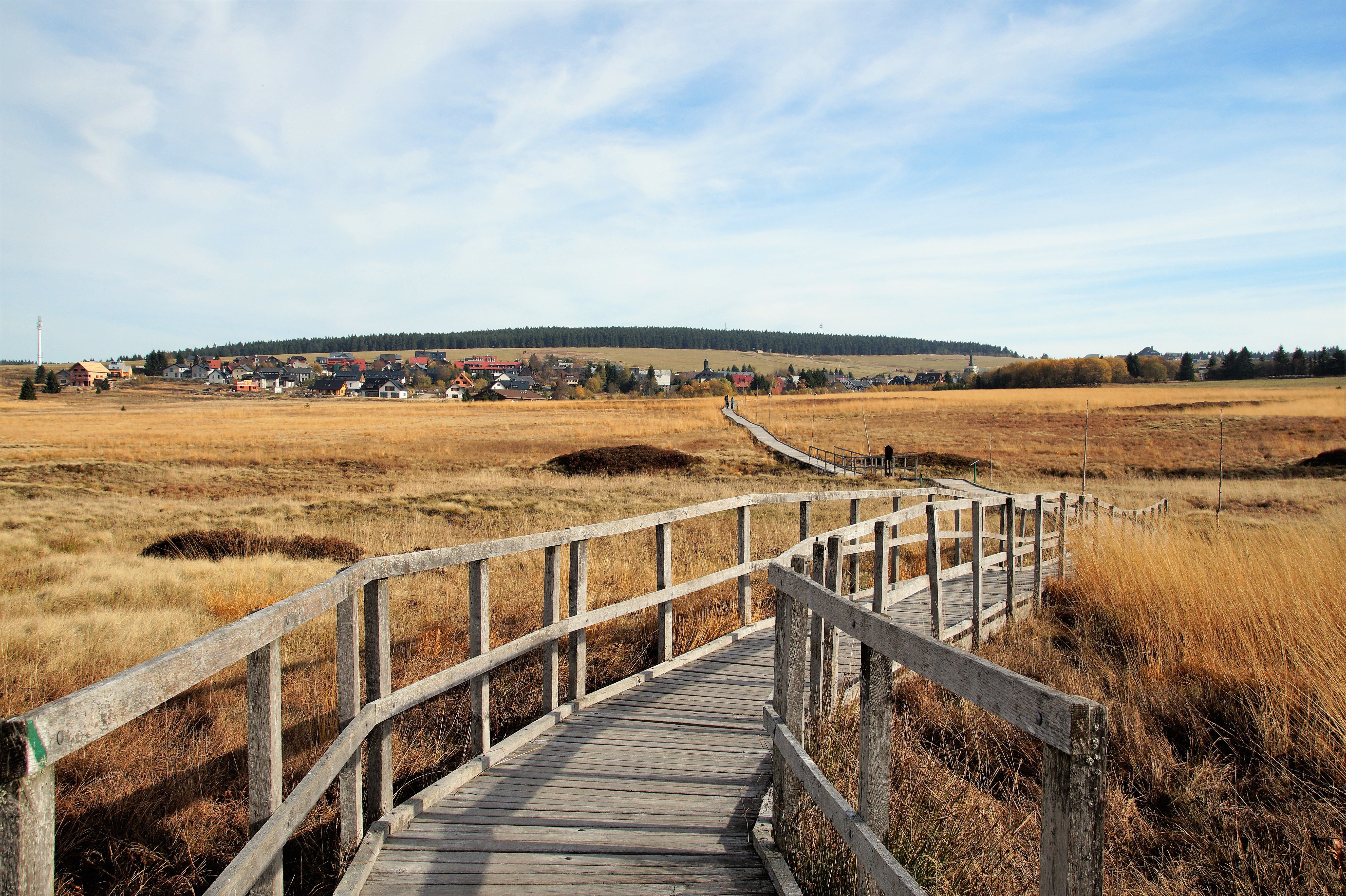 Otevřít galerii