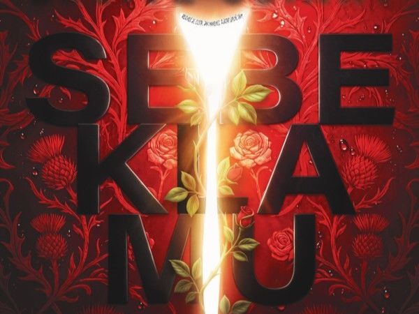 Léčivé účinky sebeklamu 2D/PZ