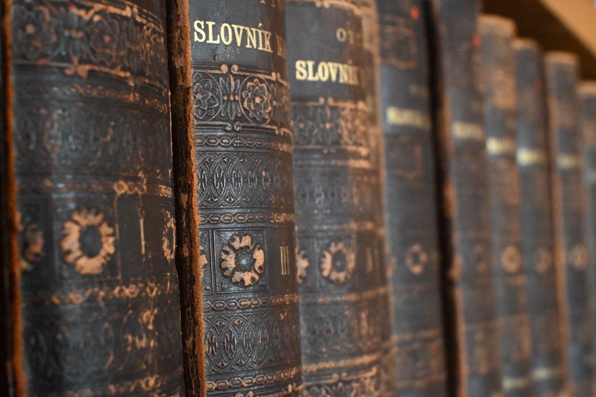 CO V KNIHOVNĚ NENÍ VIDĚT...