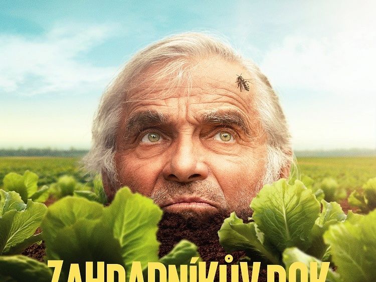 Otevřít galerii