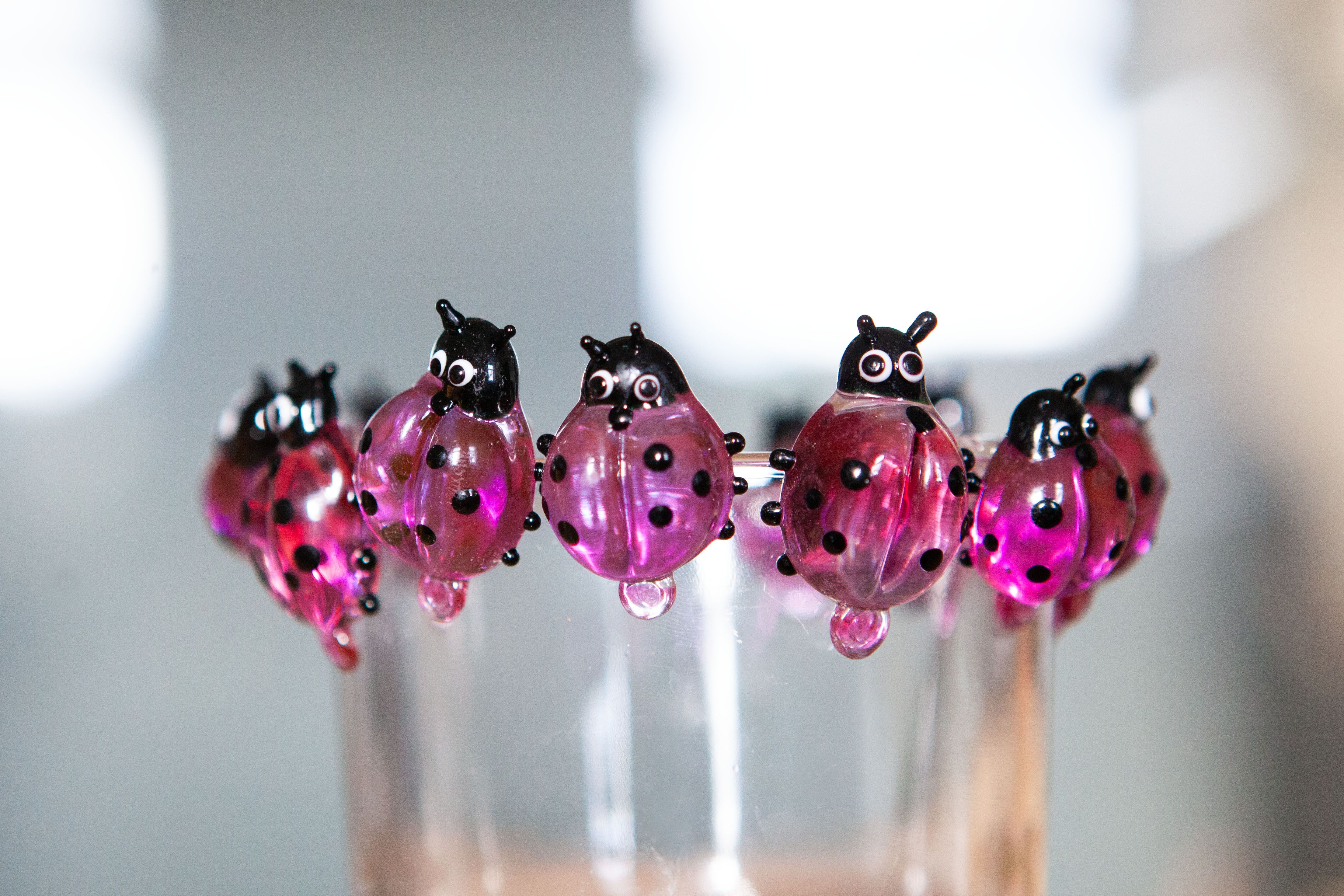 Den otevřených dveří na SŠŘS