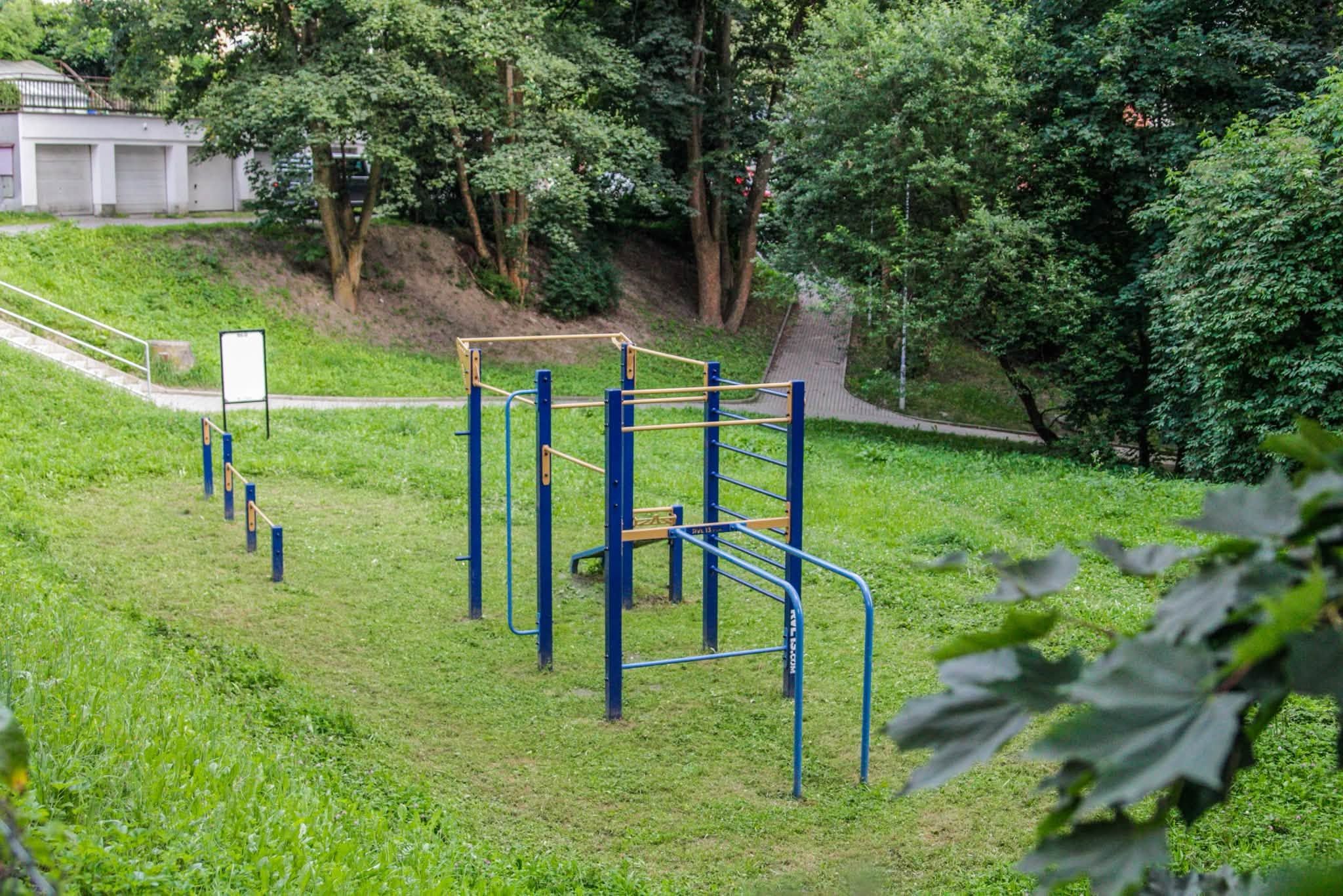 Zajęcia grupowe z kalisteniki – Na Roli