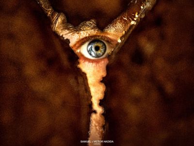 Silent Hill: Noční můry 2D/T – Kino Radnice