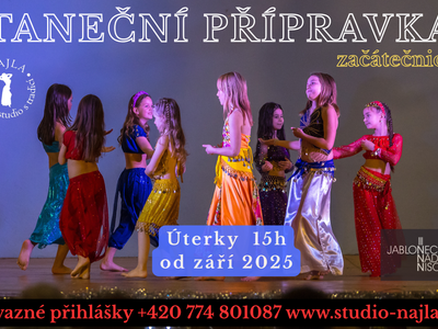TANZVORBEREITUNGSKURS ORIENT – NAJLA – Studio für Tanz, Bewegung und Entspannung