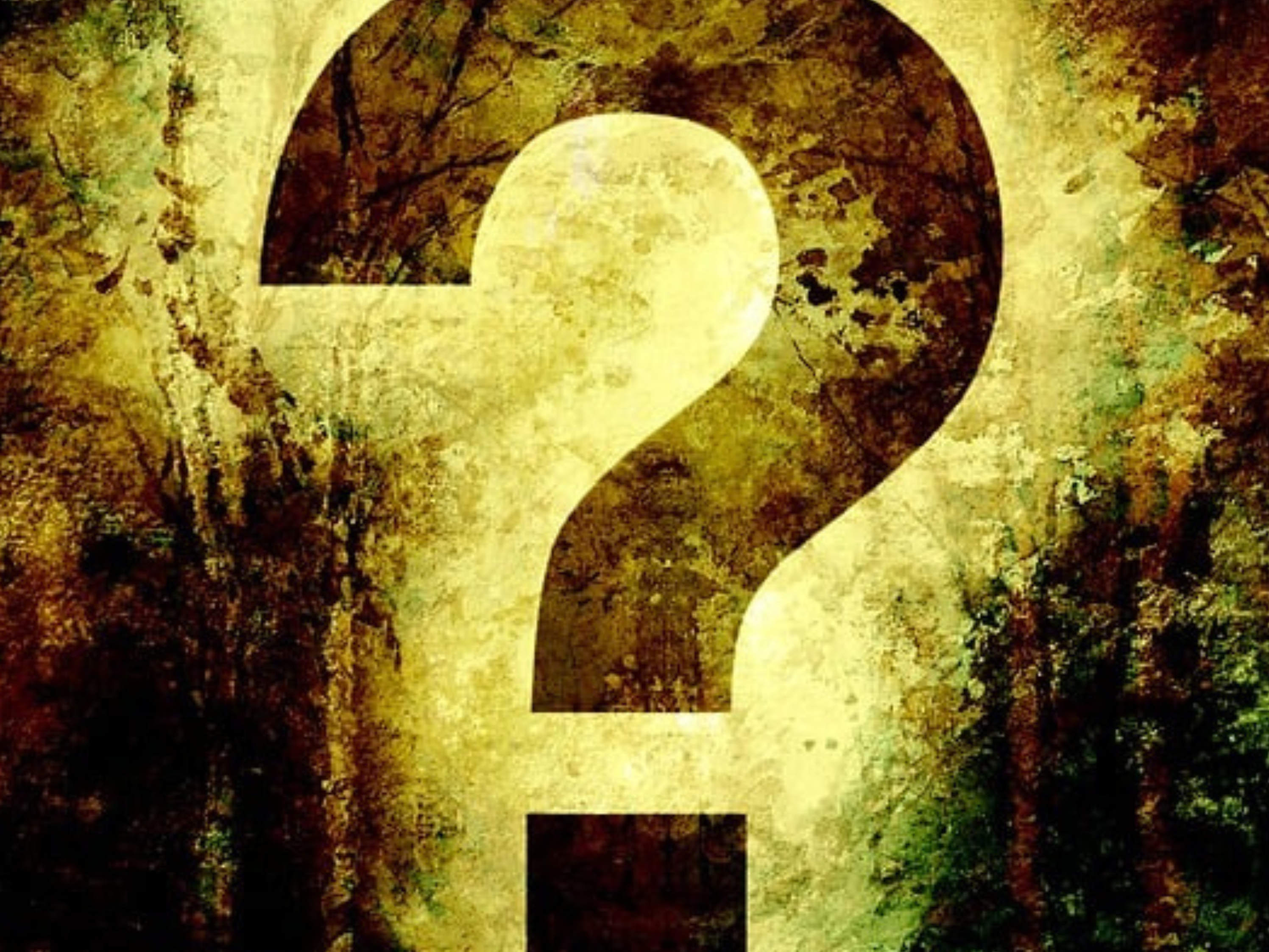 BIBLIOTHEKS-QUIZ