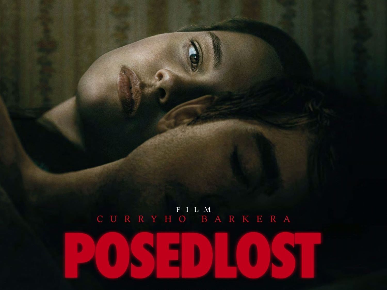 Posedlost 2D/T