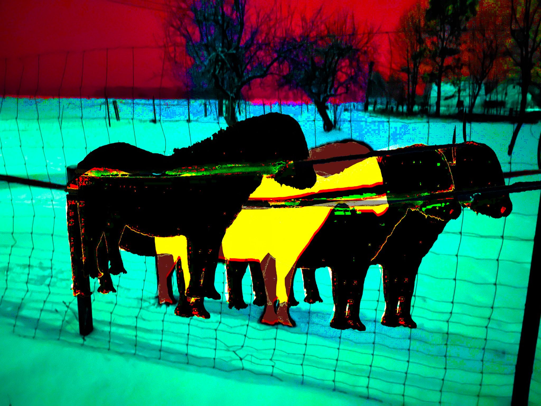 Kaplička Gallery: Kateřina Kobrlová