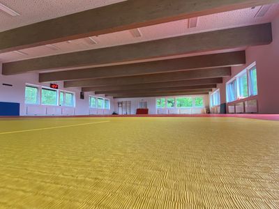 Judo arena