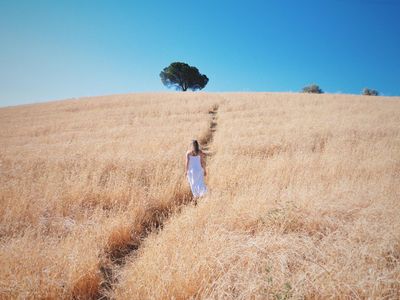 TOSKÁNSKO – Městská knihovna