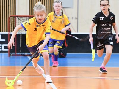 Florbalový turnaj - liga Elévů – Městská hala