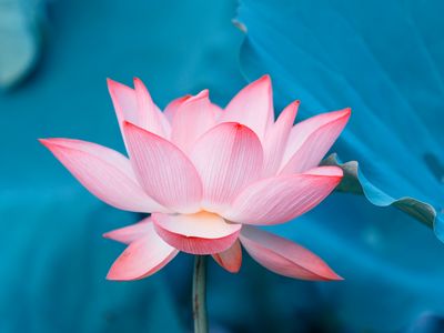 Medytacja dla publiczności – 