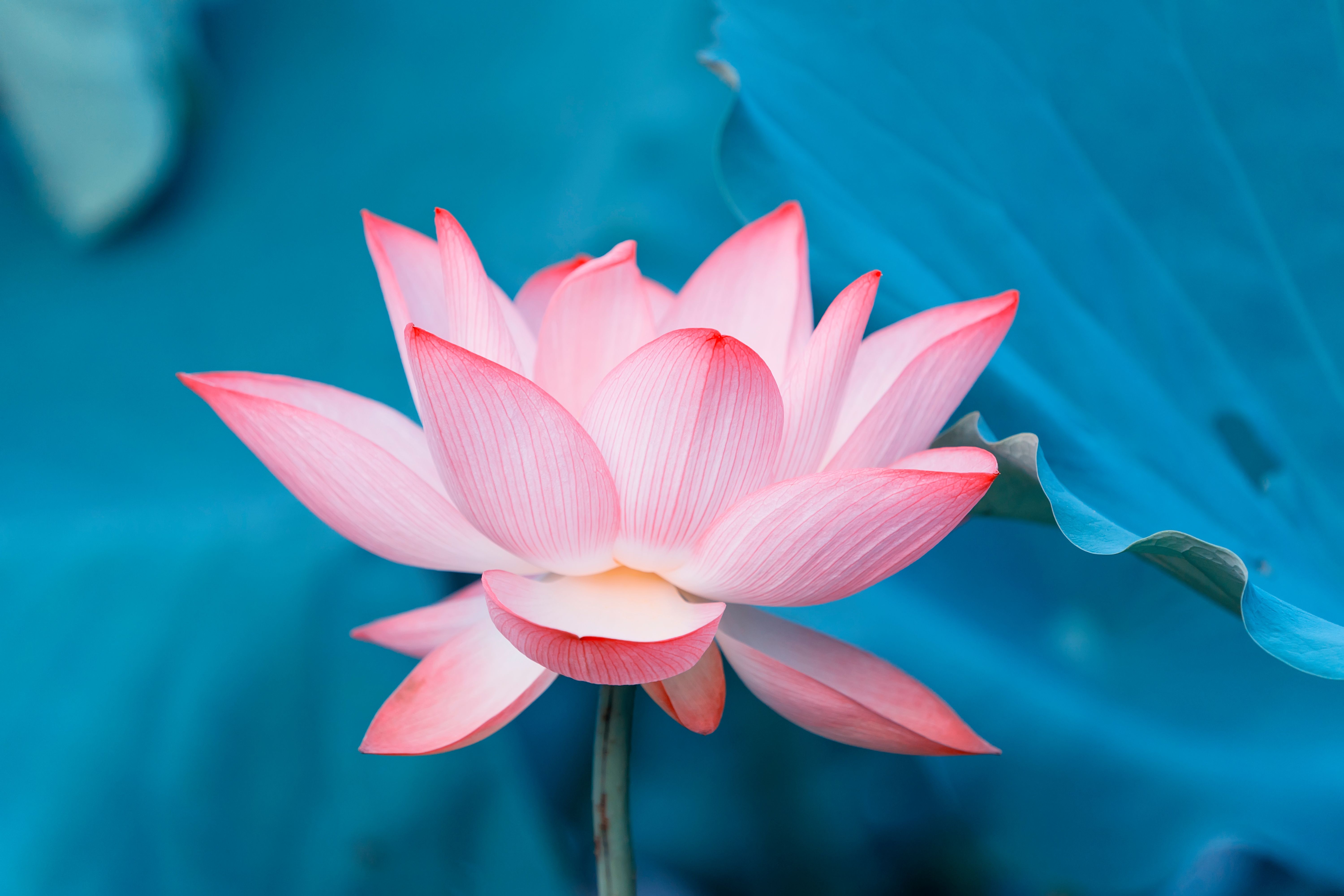 Medytacja dla publiczności