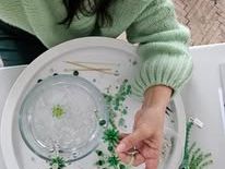 Advent v Muzeu výroby korálků / Nisa Factory