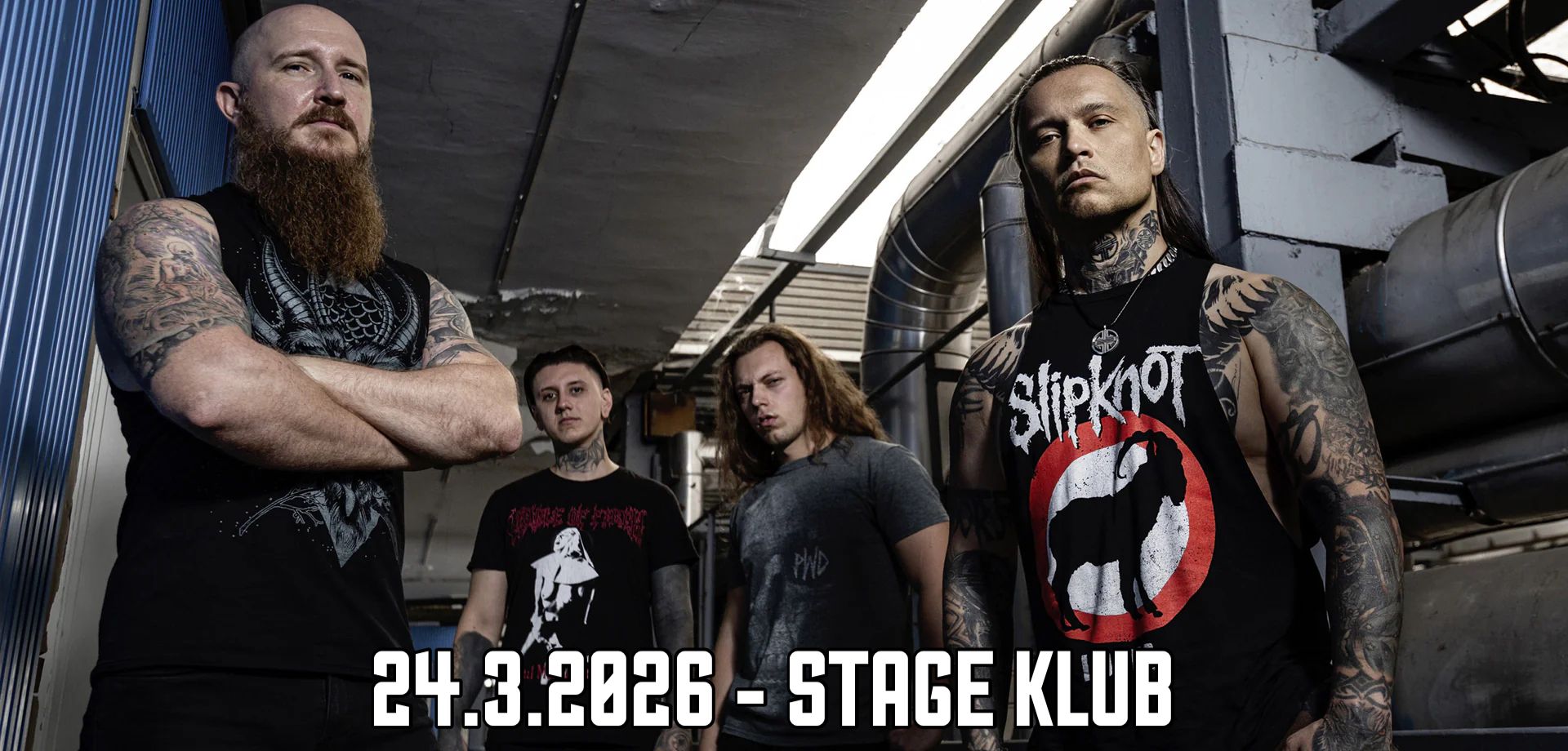 EKTOMORF (hu) + support