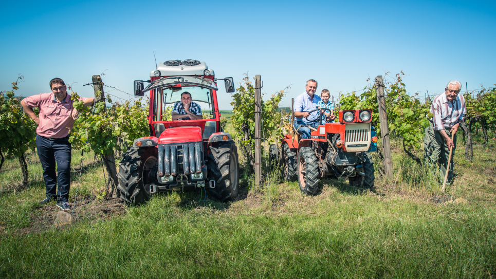 Muzyka na tarasie VÍNO HRUŠKA z zespołem LOVE BAND