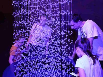 Noc sokoloven – Sokolovna