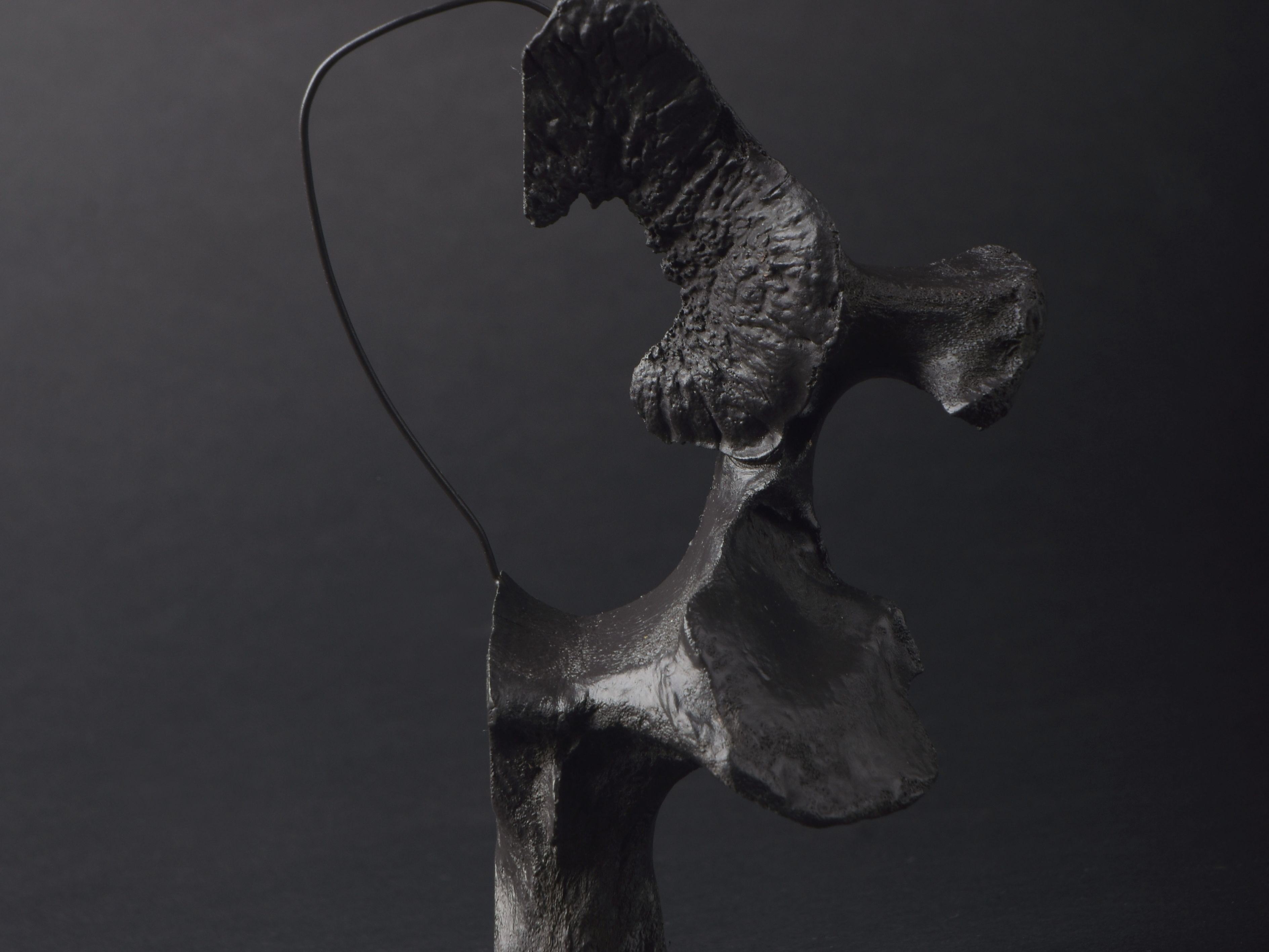 Opening of the exhibition “L” by Jana V. Střílková
