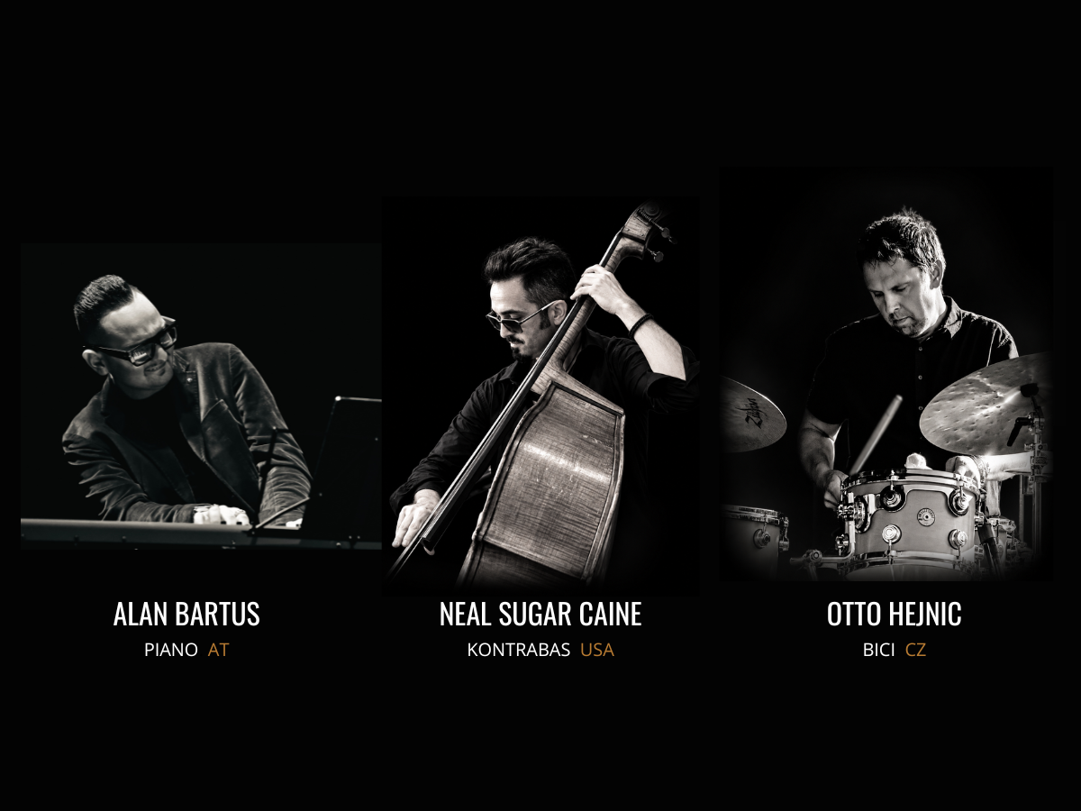 OTTO HEJNIC TRIO (USA/CZ)