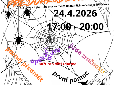 Witch on DDH – Children's traffic playground