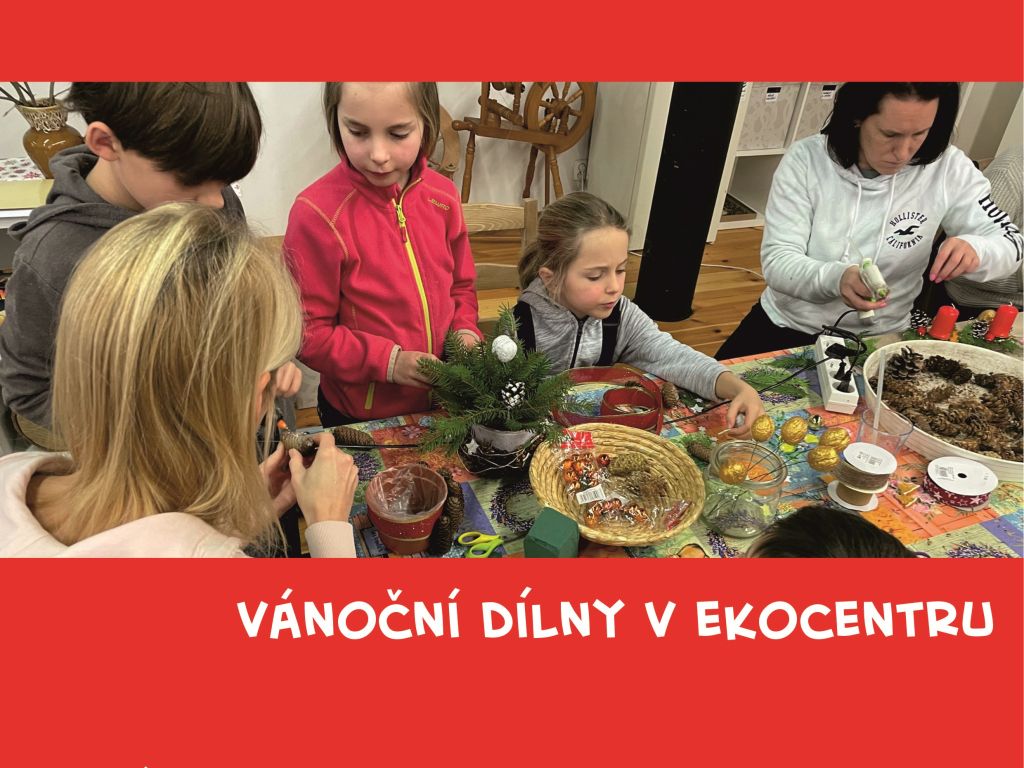 Christmas workshops at the Eco-Centre