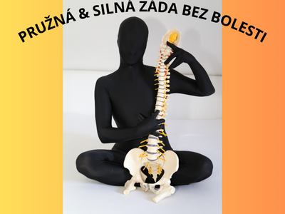 FLEXIBLE & STRONG BACK WITHOUT PAIN –