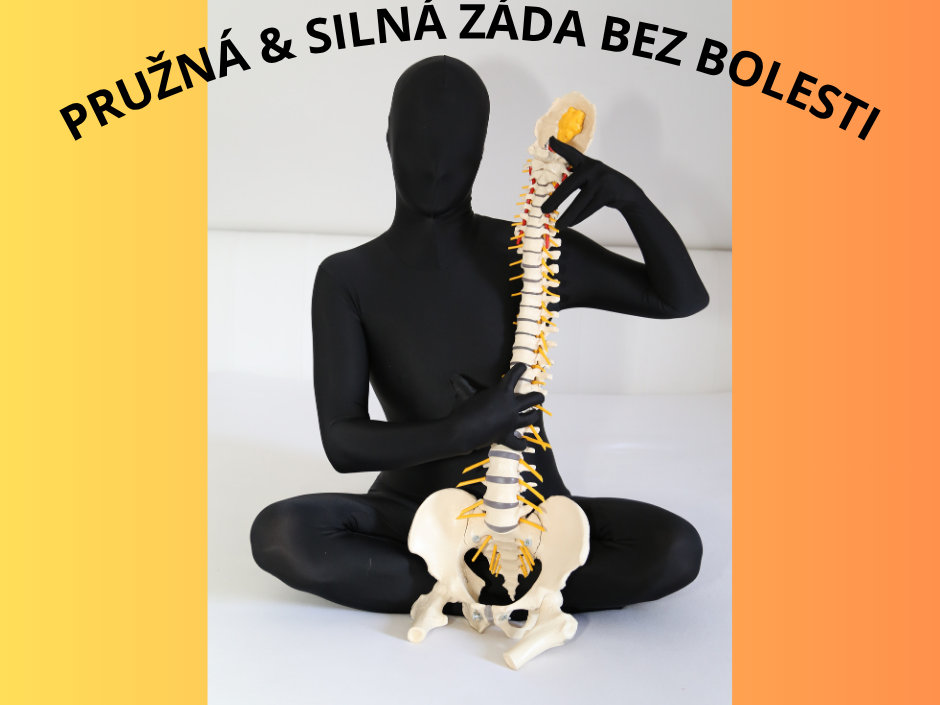 FLEXIBLE & STRONG BACK WITHOUT PAIN