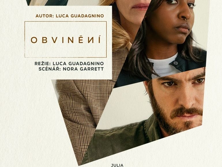 Obvinění 2D/T