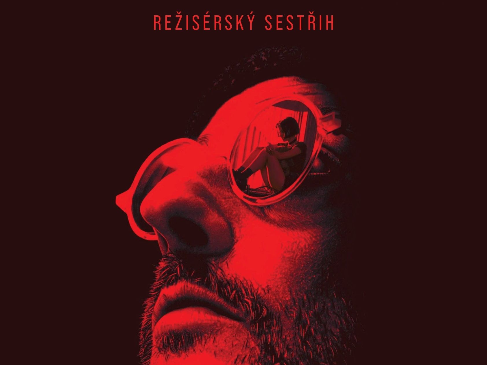 Leon (režisérský sestřih) 2D/T