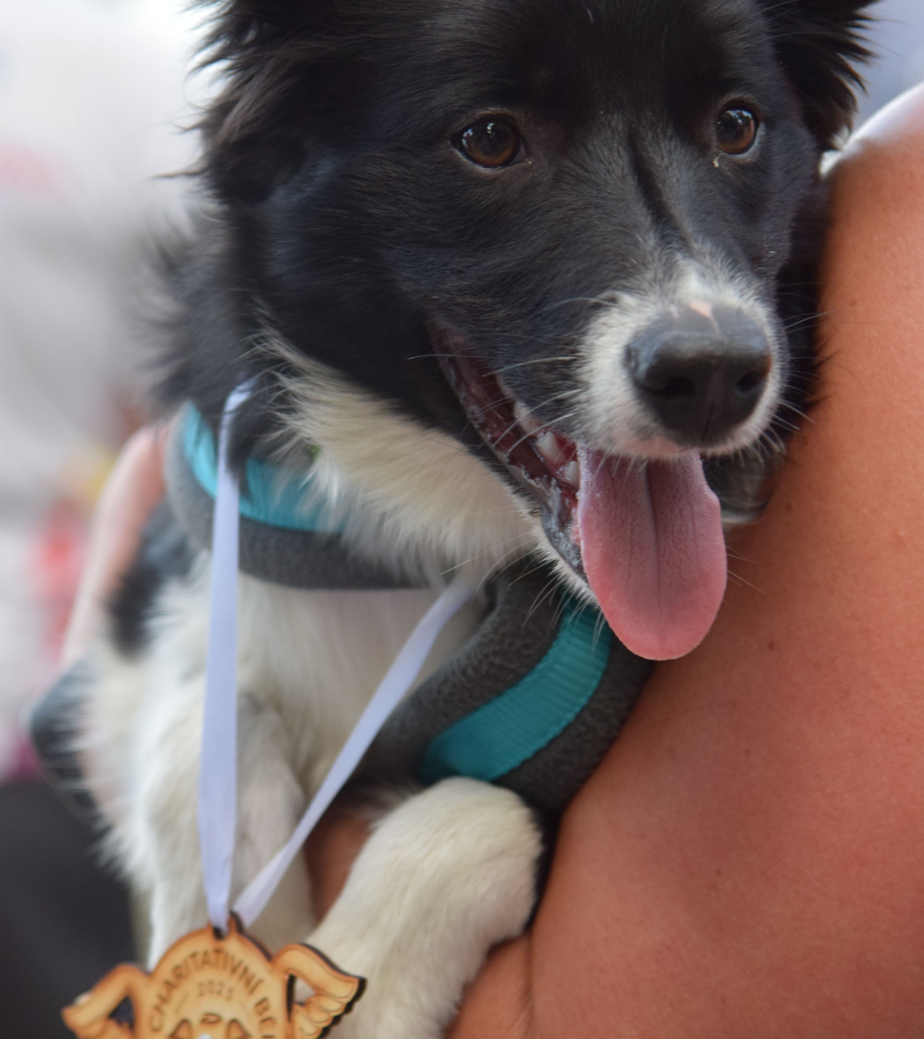 Charity run with the Preciosa Foundation for Patrik