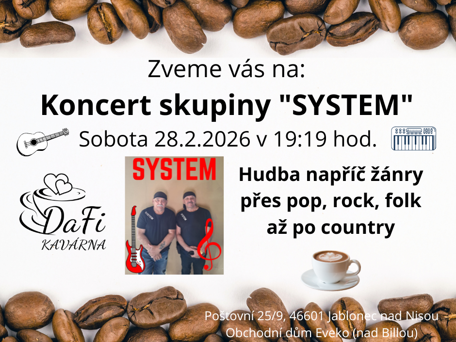 Concert by the band "SYSTEM"
