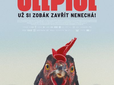 Slepice 2D/T – Kino Junior