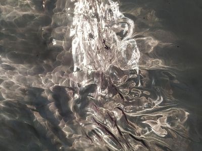 Galerie Kaplička: Patricia Bačenková – Galerie Kaplička