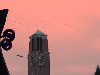 Maxim Dunajčík - Atomic Apple – Galerie Kaplička