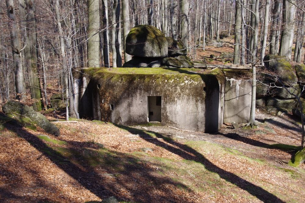Otevřít galerii