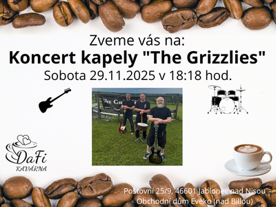 Koncert kapely "The Grizzlies" – Kavárna DaFi, dětský koutek