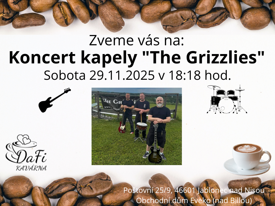 Koncert kapely "The Grizzlies"