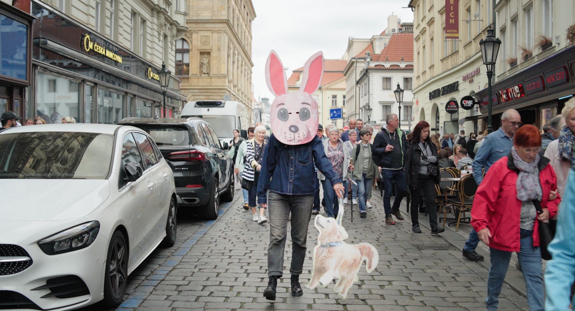 Otevřít galerii