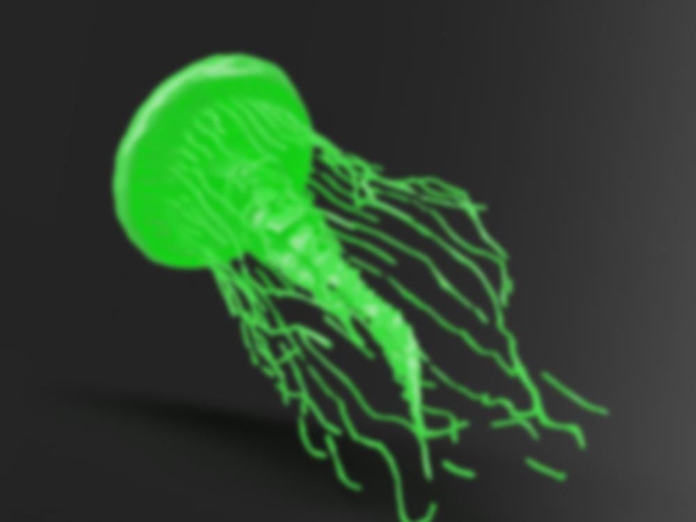 SUPŠ and VOŠ Jablonec: Black Light 9