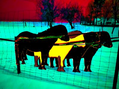 Kaplička Gallery: Kateřina Kobrlová – Gallery Chapel