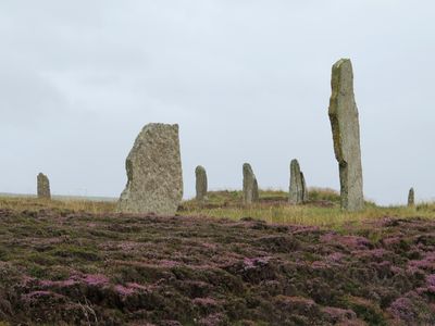 SKOTSKO – Městská knihovna