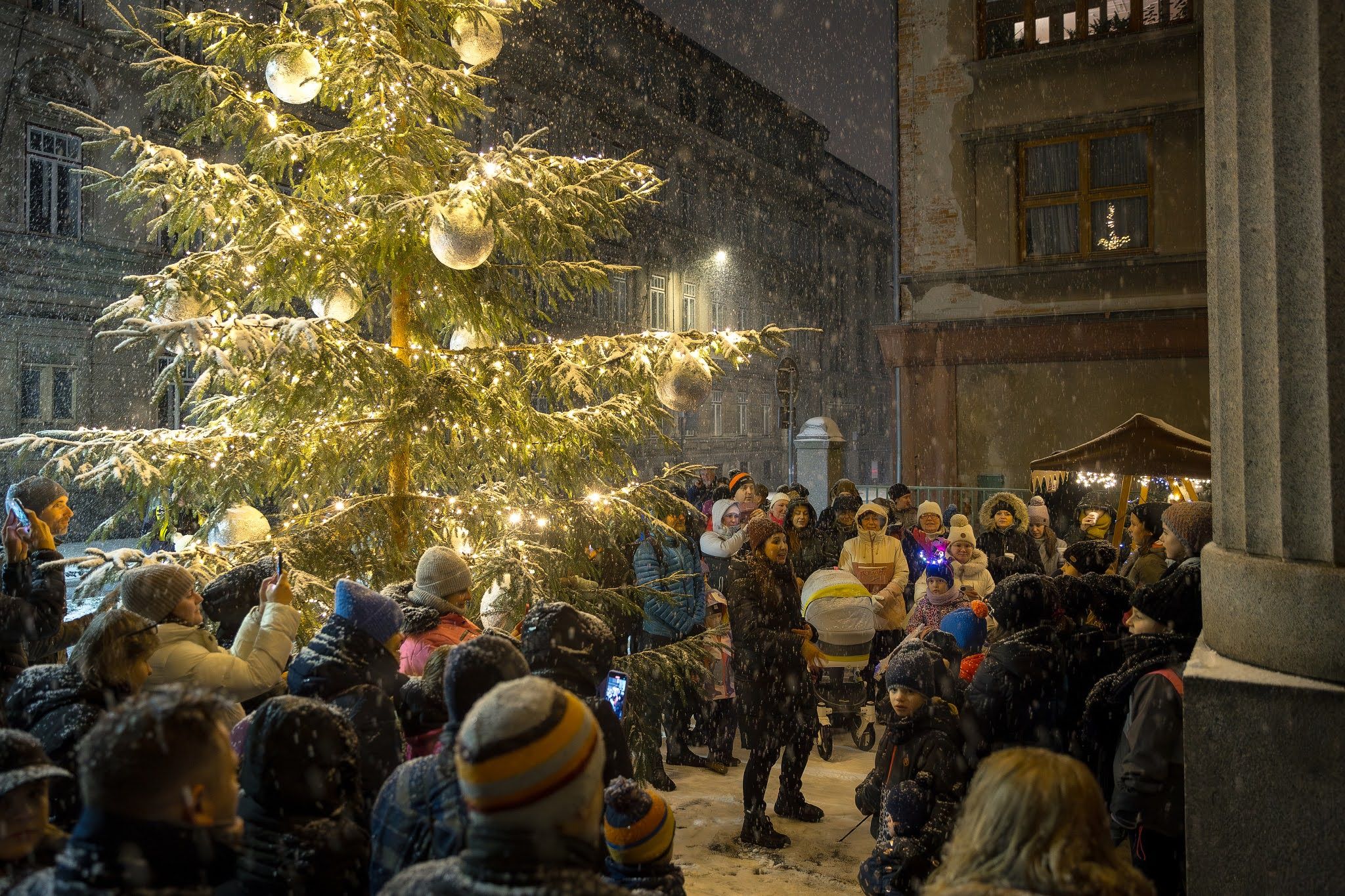 LET’S LIGHT UP THE CHRISTMAS TREE!
