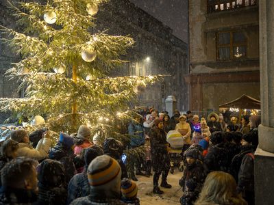 LET’S LIGHT UP THE CHRISTMAS TREE! –