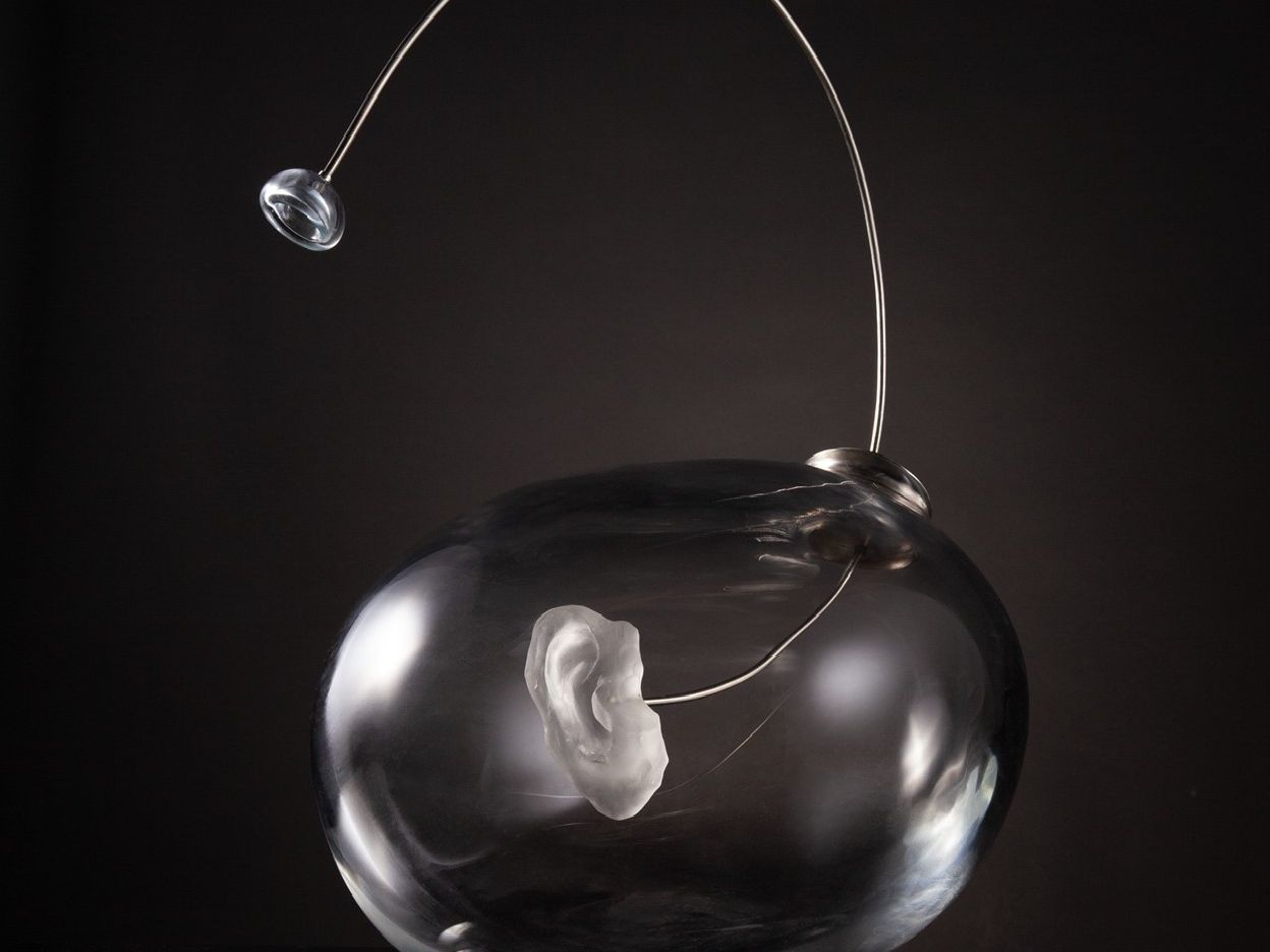 Open gallery